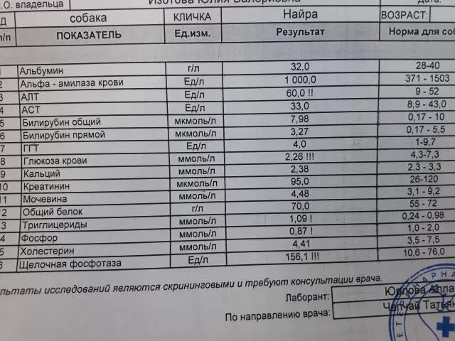 Анализ крови на цинк. Цинк анализ крови норма. Анализ на цинк норма. Анализ крови на ZN.