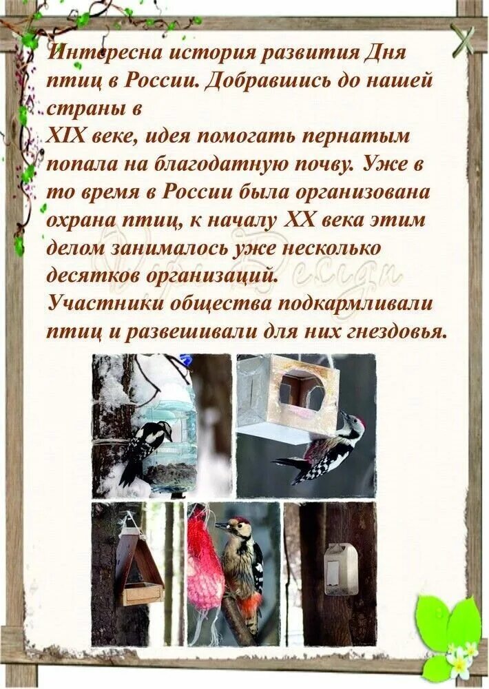 1 апреля всемирный день птиц. 1 апреля международный день птиц. 1 апреля день птиц. Отмечаем день птиц. Международный день птиц папка передвижка для детского сада.