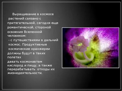 Космическая жизнь растений