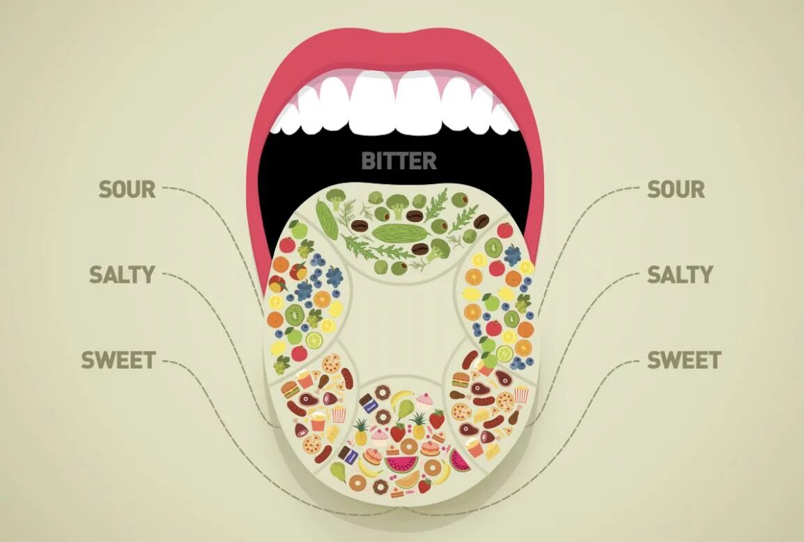 Какой участок языка воспринимает. Вкусовые рецепторы на языке схема. Зоны вкуса на языке. Зоны восприятия вкуса на языке. Зоны чувствительности языка.
