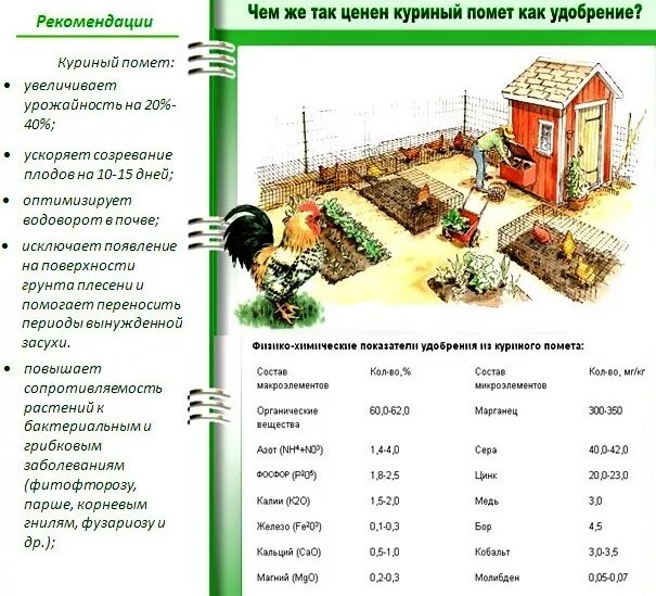 Как развести куриный помет для подкормки растений. Как использовать куриный помет для удобрения огорода. Как разбавлять куриный помет для подкормки растений. Как разводить куриный помёт для подкормки растений. Как сделать куриный помет