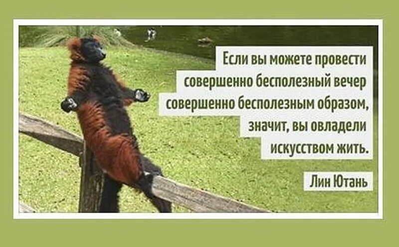 Не способен проводить. Если вы можете провести совершенно бесполезный день. Дзен цитаты. Искусство юмор. Жить надо так чтобы депрессия была у других картинка.