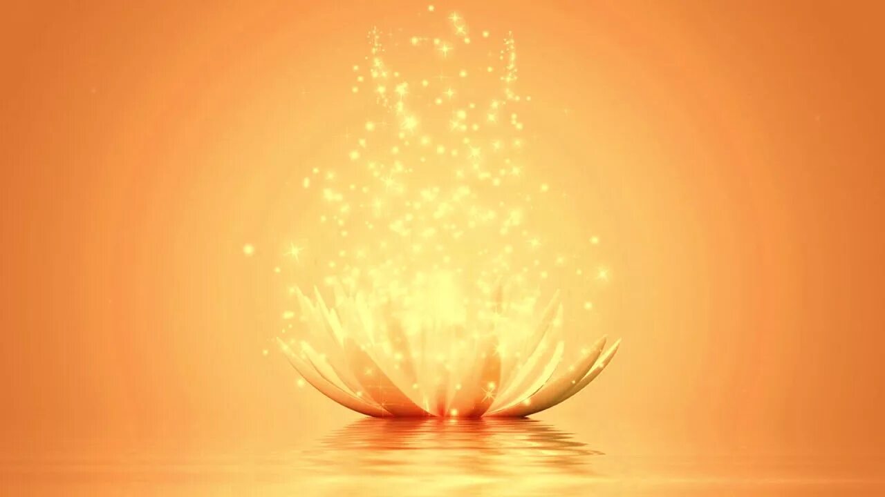 Золотая медитация. Медитация золотой свет. Волшебный Лотос. Лотос свет. Поток света.