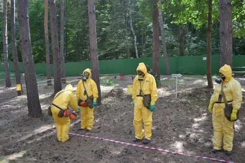 Эпидемиологическая разведка