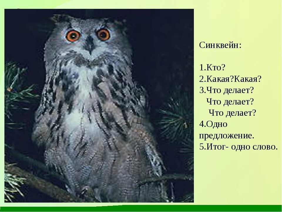 Алая сова 2 аудиокнига. Бианки в. "Сова". Синквейн Сова Бианки. Произведение Сова.