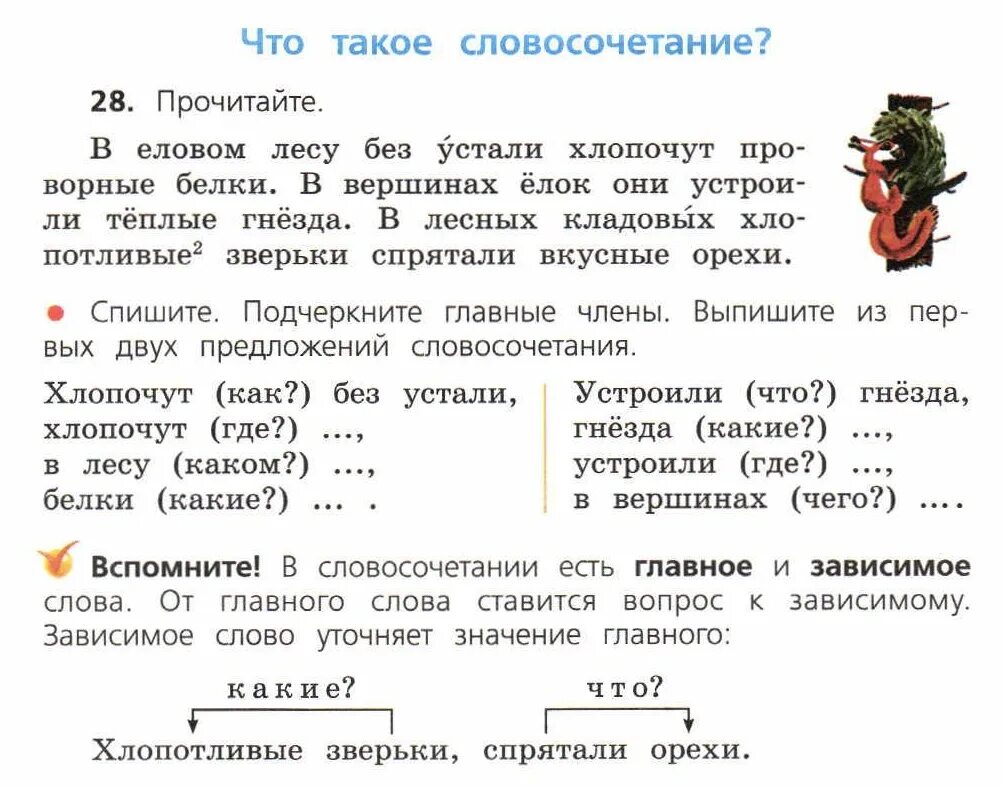 Какая часть речи слово ельник. Словосочетание в еловом лесу без устали хлопочут проворные белки. Словосочетания со словом белка. В еловых лесах строят гнёзда хлопотливые.