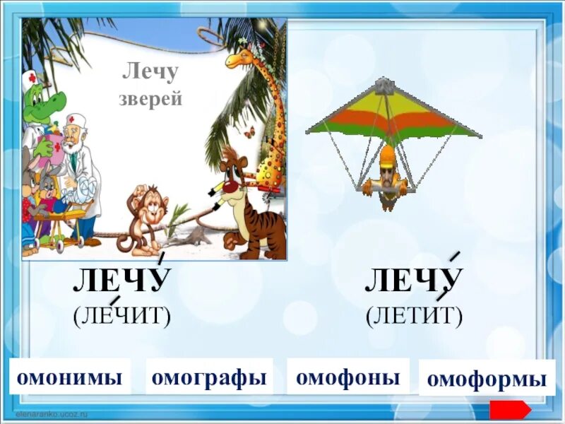 Полечу или полечат. Лечу омоним. Омонимы летает. Омонимы к слову лечу. Омографы в картинках.