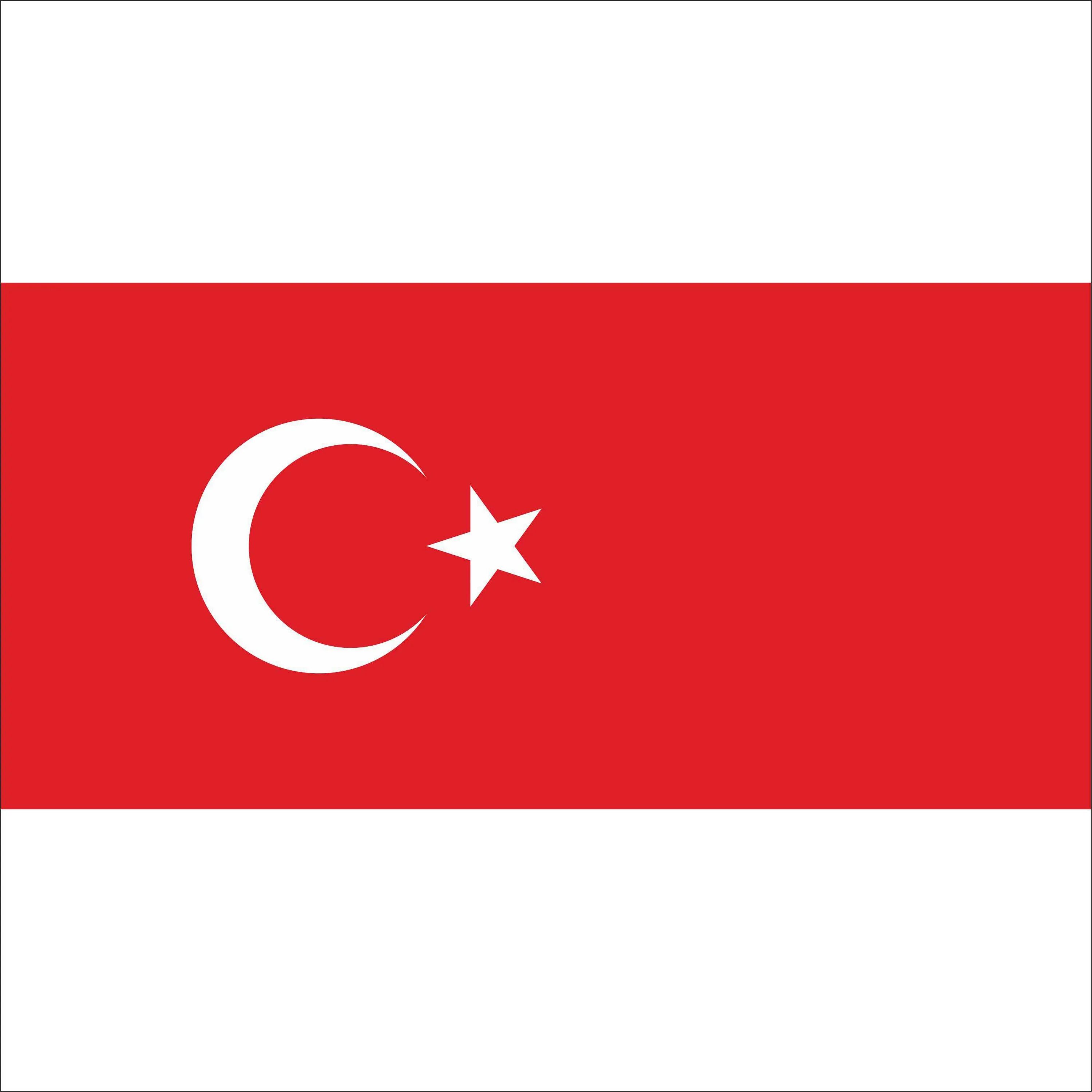 Флаг Республики Турция. Флаги стран Турция. Турецкое Знамя. Флаг турецкой Республики. Сколько звезд на флаге турции