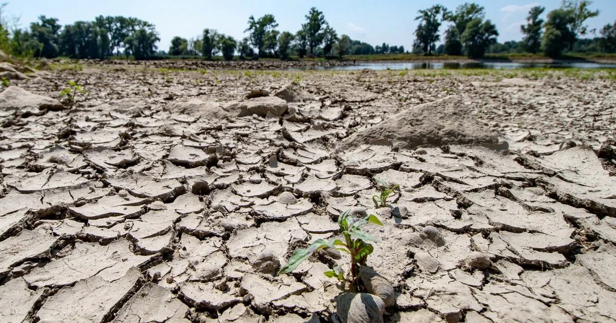 Засуха. Засуха в России. Засуха в Испании. Засуха в Испании 2022.