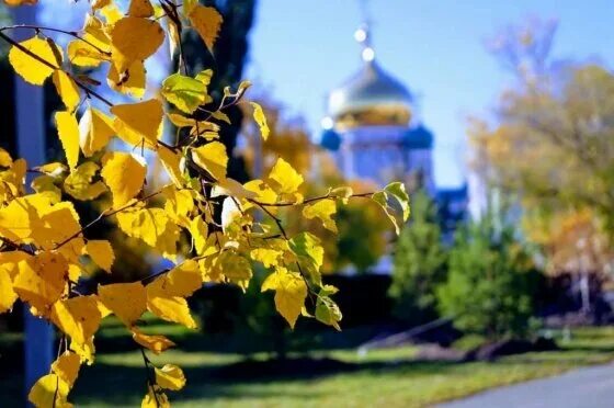 Отдых в Омске. Что посмотреть, как добраться, основное про поездку в город Омск