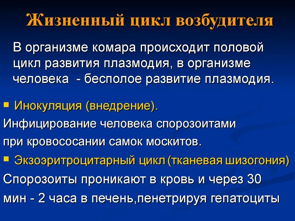 Жизненный цикл возбудителя. Жизненный цикл микобактерии. Фазы жизненного цикла популяции возбудителя:. Жизненный цикл возбудителя лейкоцитоза.