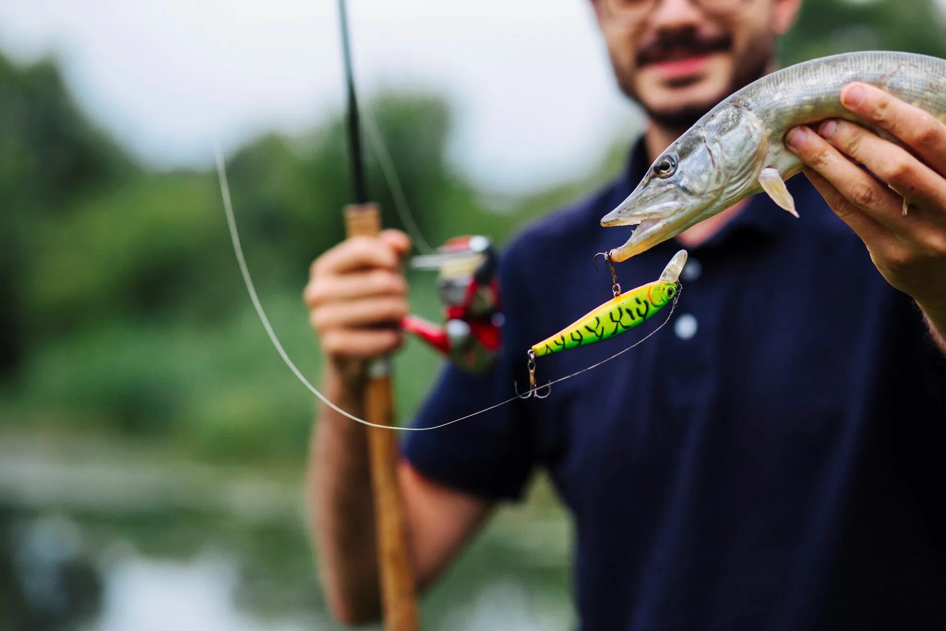 Рыбу ловить крючок. Топ 20 для рыбалки. Держит рыбу на крючке. Fishing Lures. Фиш Арена.