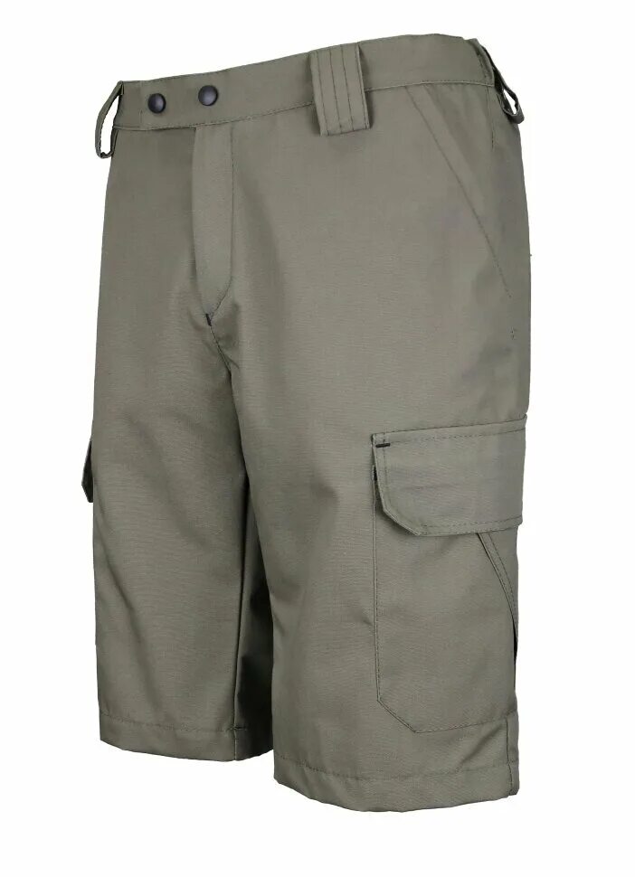 Австрийские штаны м65. Шорты драгон aca. Сириус мужской жилет беркут. Спецодежда аксис жилет. Жилет мужской сириус.