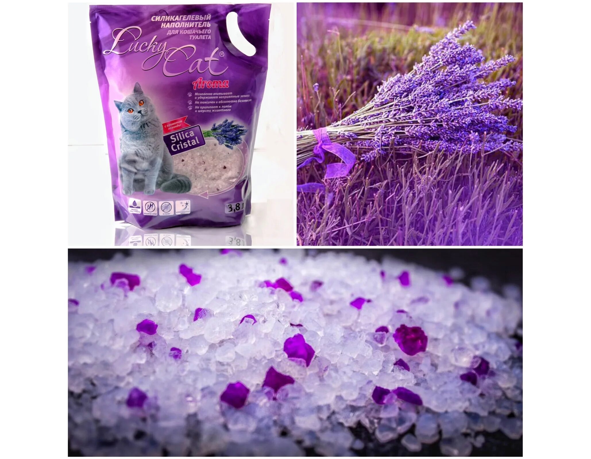 Кошачий наполнитель лаванда. Кэт степ наполнитель силикагелевый лаванда. lucky cat наполнитель силикагелевый. силикагелевый наполнитель кэт стэп. с лавандой. силикагелевый наполнитель с лавандой.