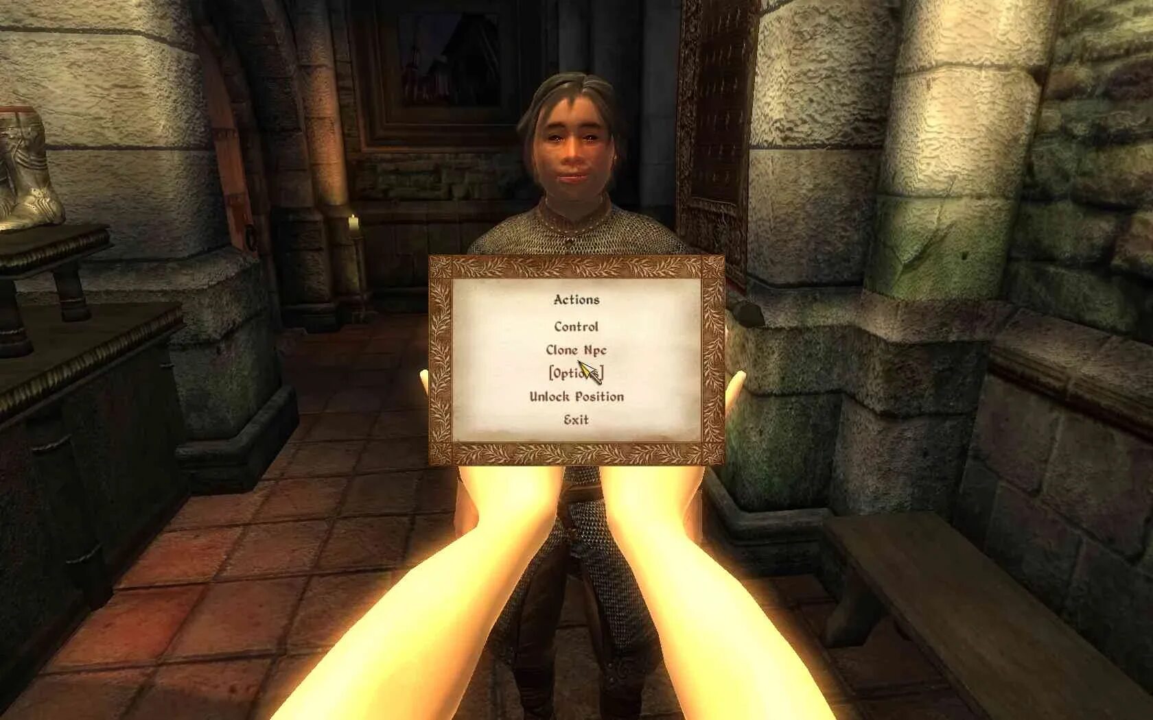 Npc control mod