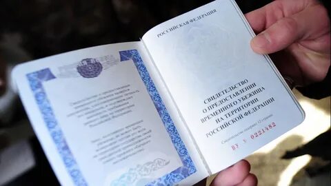 Беженцы получить гражданство