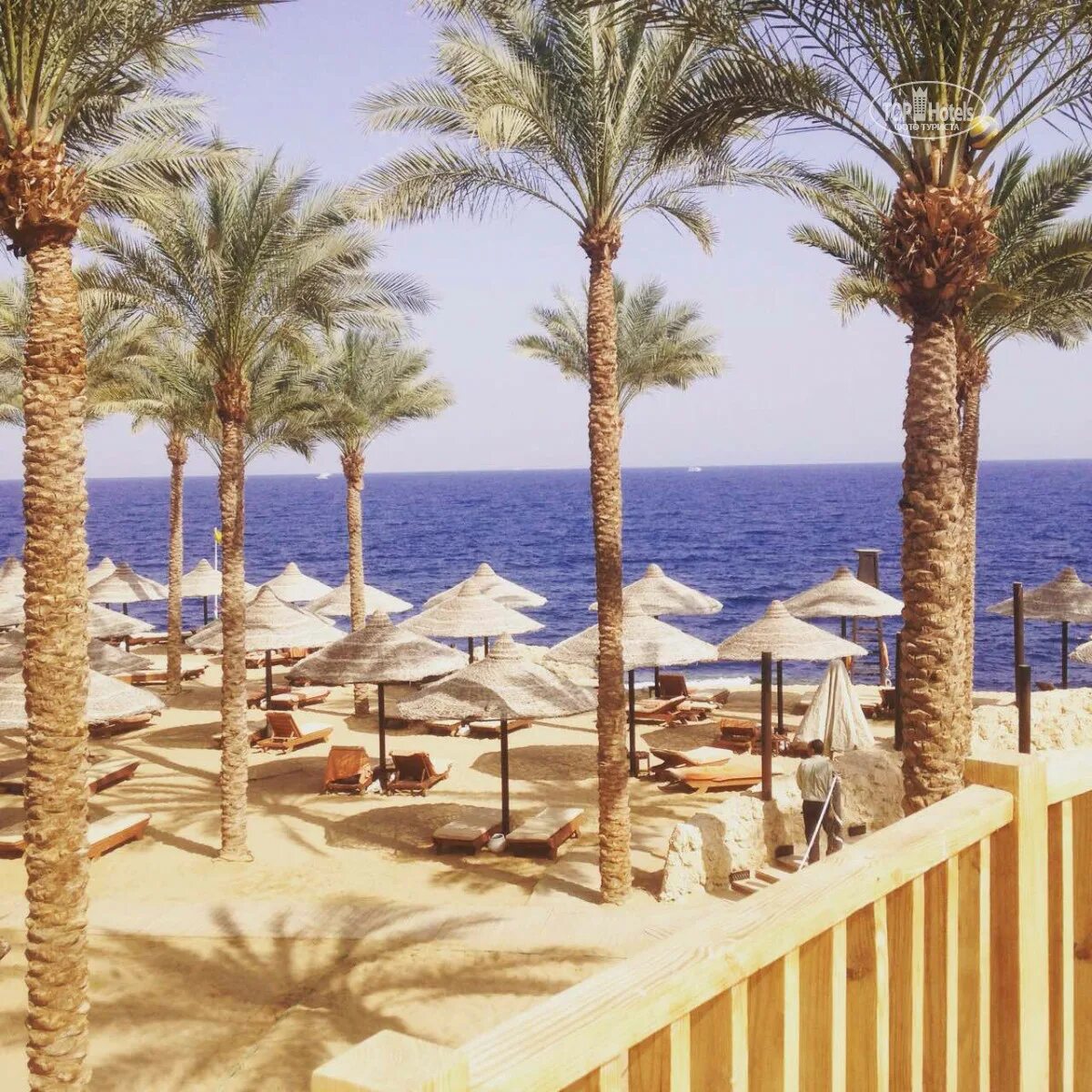 The grand hotel sharm el sheikh. Grand Hotel Sharm 5 Шарм-Эль-Шейх. Grand Hotel Sharm 5 пляж. The Grand Hotel Sharm 5* Шарм-Эль-Шейх, 320 м до моря. The Grand Hotel Sharm el Sheikh 5 пляж.