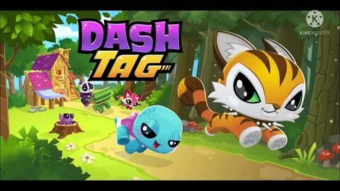 Dash videos
