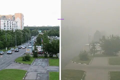 2010 год мир