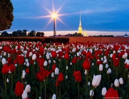 Тоне санкт петербург