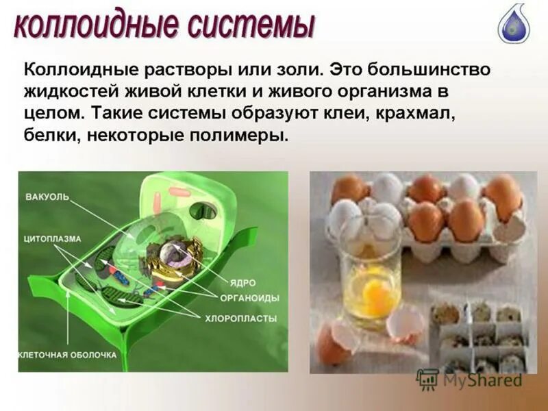 коллоидные растворы реферат