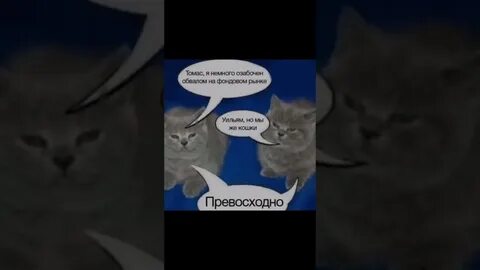 Я озабочен обвалом на фондовом рынке