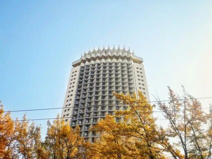 Алматы контакты