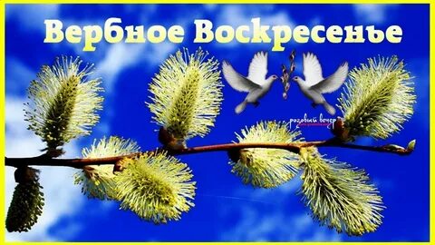 Дерево с именным воскресеньем
