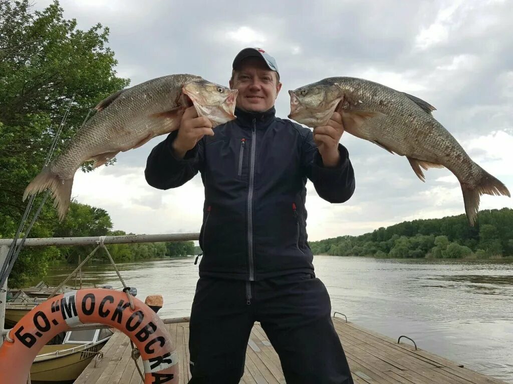 Самый большой пескарь в мире. Улов пескарей. Самый большой улов. 2 Пескаря база Астрахань. Улов казань