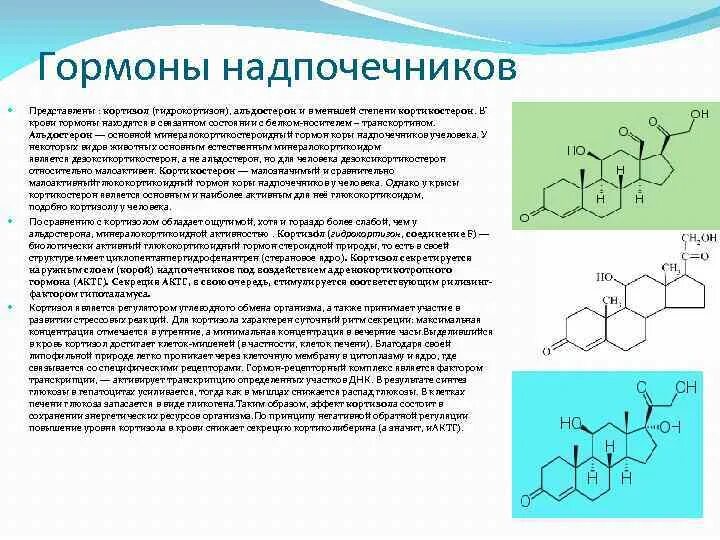 Слабость гормоны