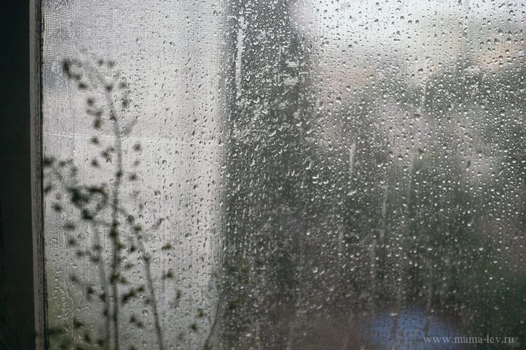 Моросящий дождь. Мелкий дождь. Дождик моросит. Дождь. Моросящий дождь.