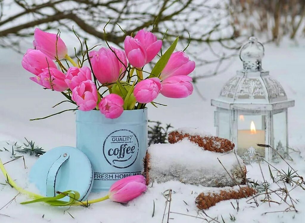 А знаешь к весне уже дни полетели. Девушка весна рисунок. Весна идёт весне дорогу. Зимние цветы. Зимние цветы.