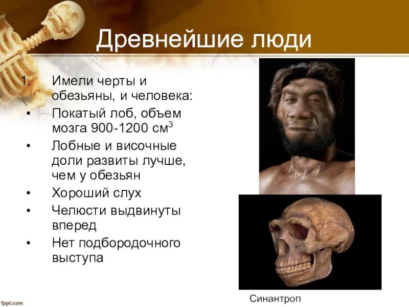 Гоминиды объем мозга. Древние люди объем мозга. Объем мозга древнейших людей. Объем мозга современного человека.