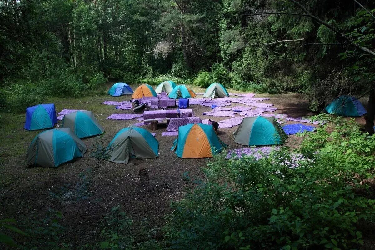 Camping park. Озеро Волго палаточный лагерь. Шира Сосновый Бор палаточный лагерь. Палаточный лагерь Яльчик. Палаточный лагерь на Дукке.