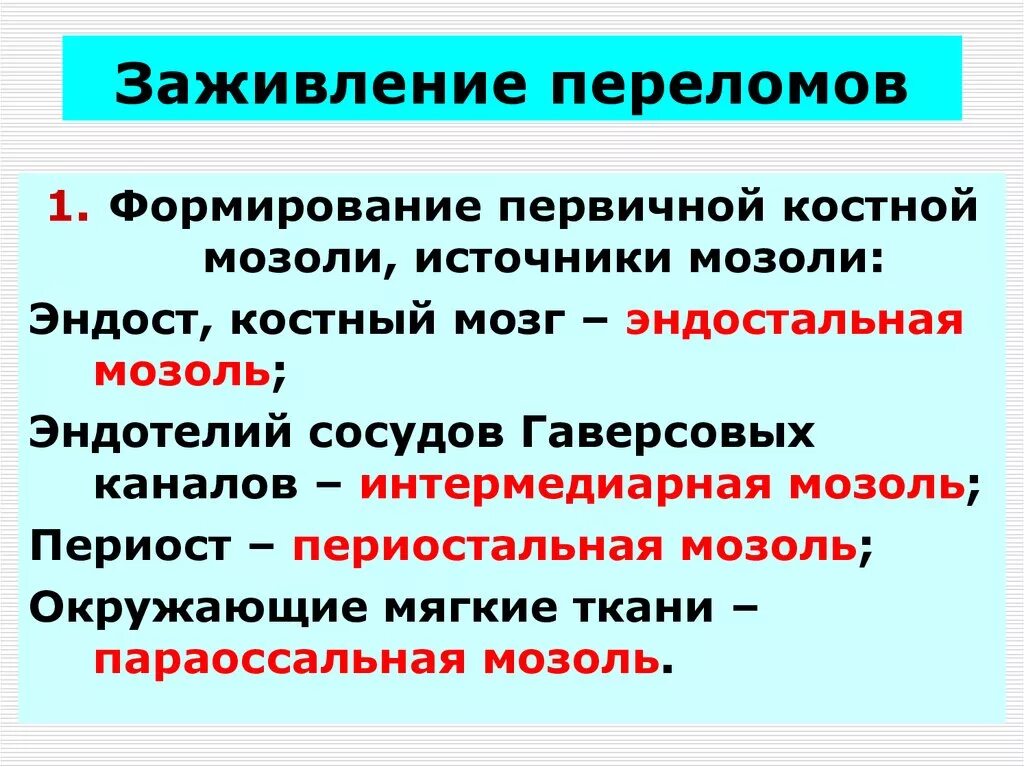 Трещина заживает. Заживление перелома кости. Периоды заживления перелома. Этапы заживления перелома кости.