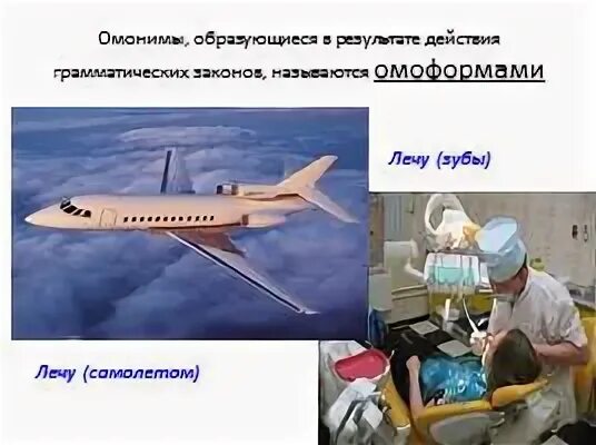 Лечу самолетом лечу зубы. Омоформы лечу. лечу омоним. определите вид омонимов: лечу-лечу.