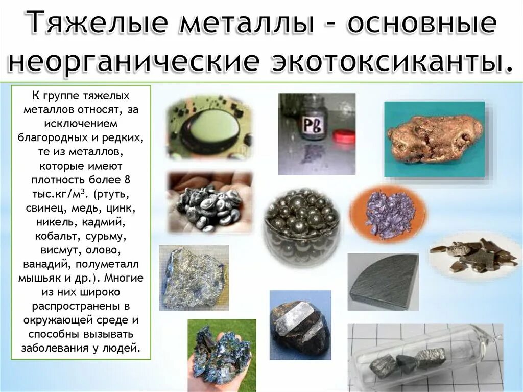 Какие металлы основные. Какие металлы основные