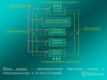 Шина управления