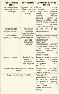 Кашель от глистов