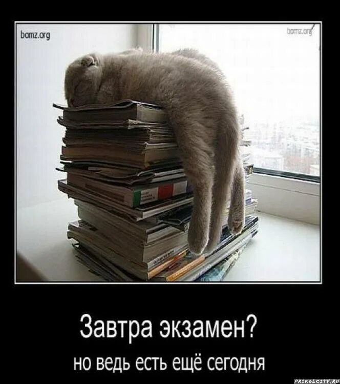 Завтра предстоит