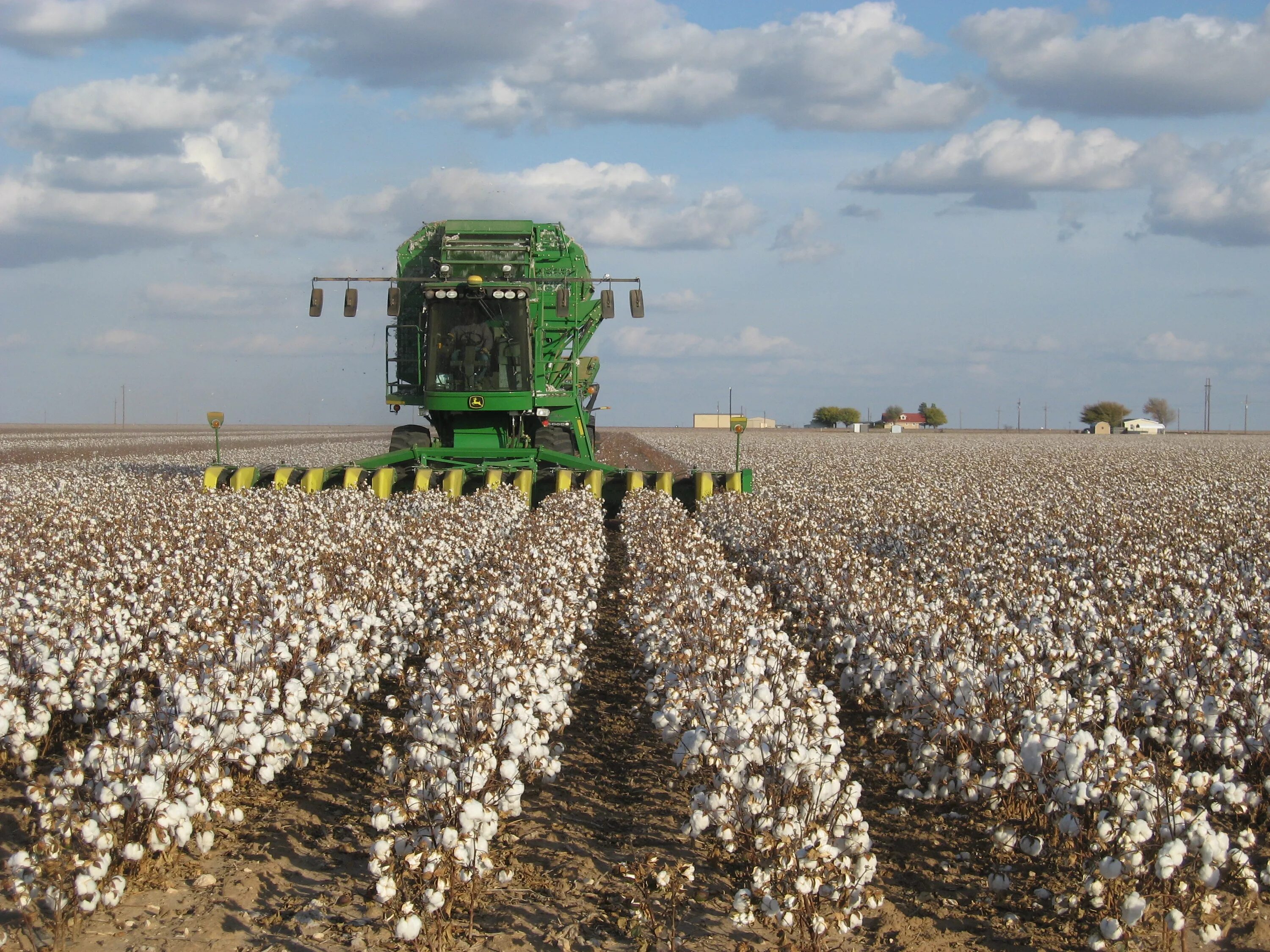 Первое место по производству хлопка. Хлопкоуборочный комбайн john deere 9970. хлопковые поля в узбекистане. дехканское хозяйство узбекистан. сбор хлопка.