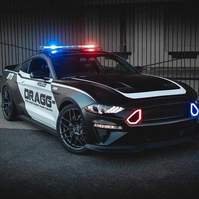 Полицейский мустанг. Форд Мустанг 911 полиция. Форд Мустанг Police. Ford Mustang полиция. Полицейский Форт Мустанг.