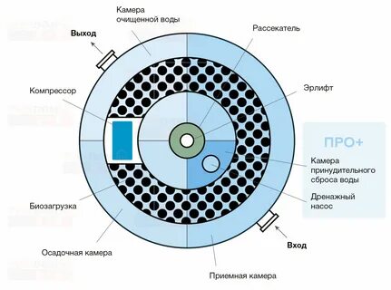 Био описание