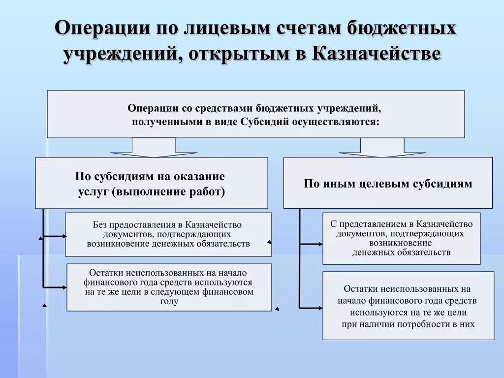 Как передать бюджетного учреждения. Лицевые счета бюджетных учреждений в казначействе. Лицевые счета открытые в казначействе. Порядок проведения операций по счетам.. Вид лицевого счета бюджетного учреждения в казначействе.