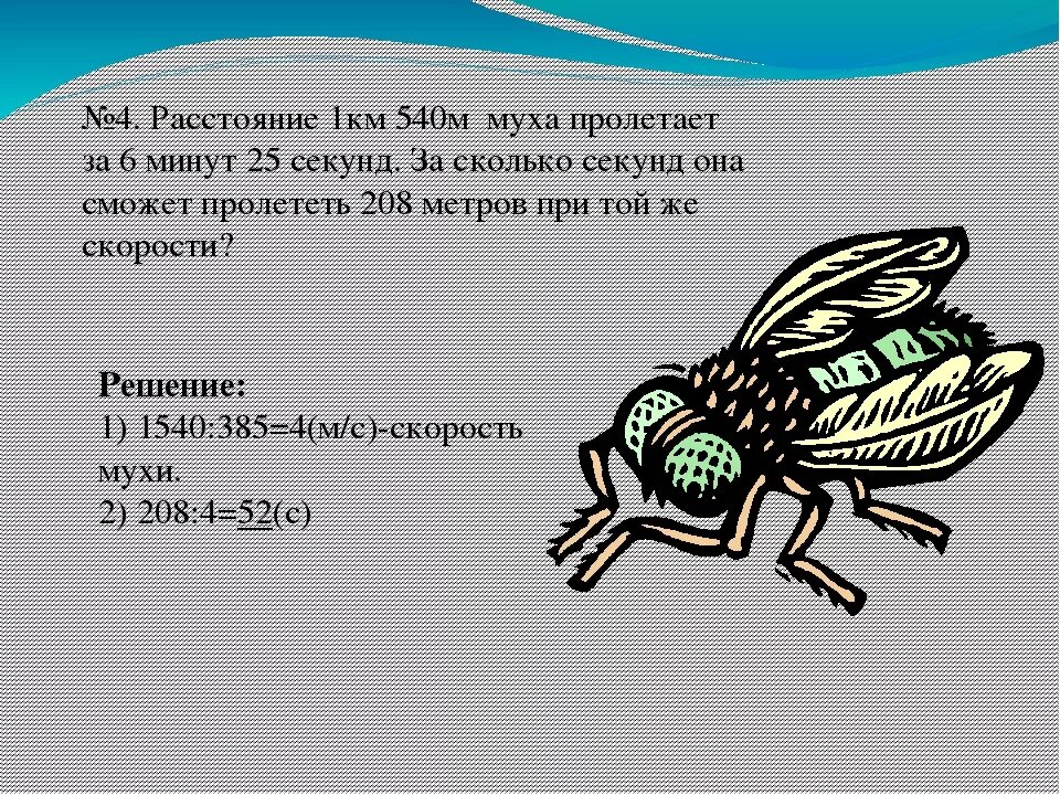 Полет осы расстояние. Скорость мухи. Скорость полета мухи. Скорость движения мухи. Скорость мухи км/ч.