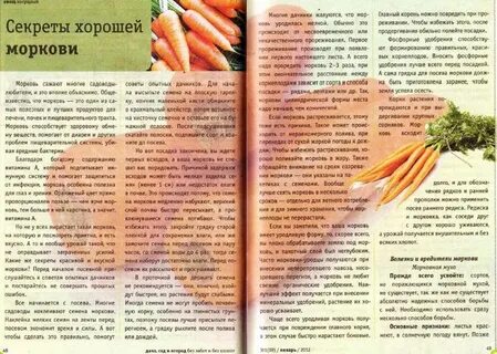 Почему надо прореживать морковь