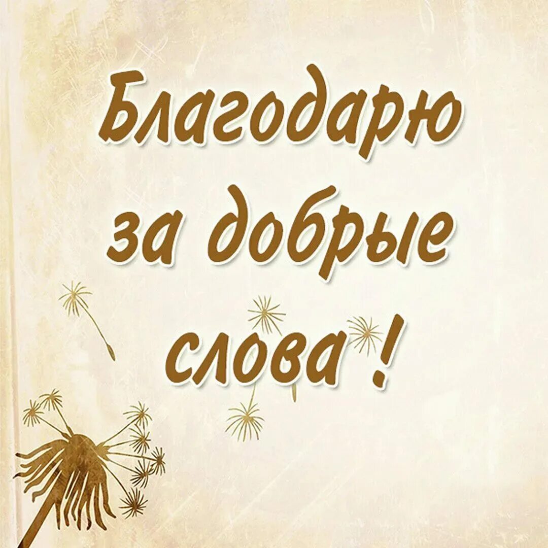 Какая вы добрая спасибо. Спасибо за поздравления. спасибо всем за поздравления. спасибо за поздравления картинки. спасибо зампоздравления.