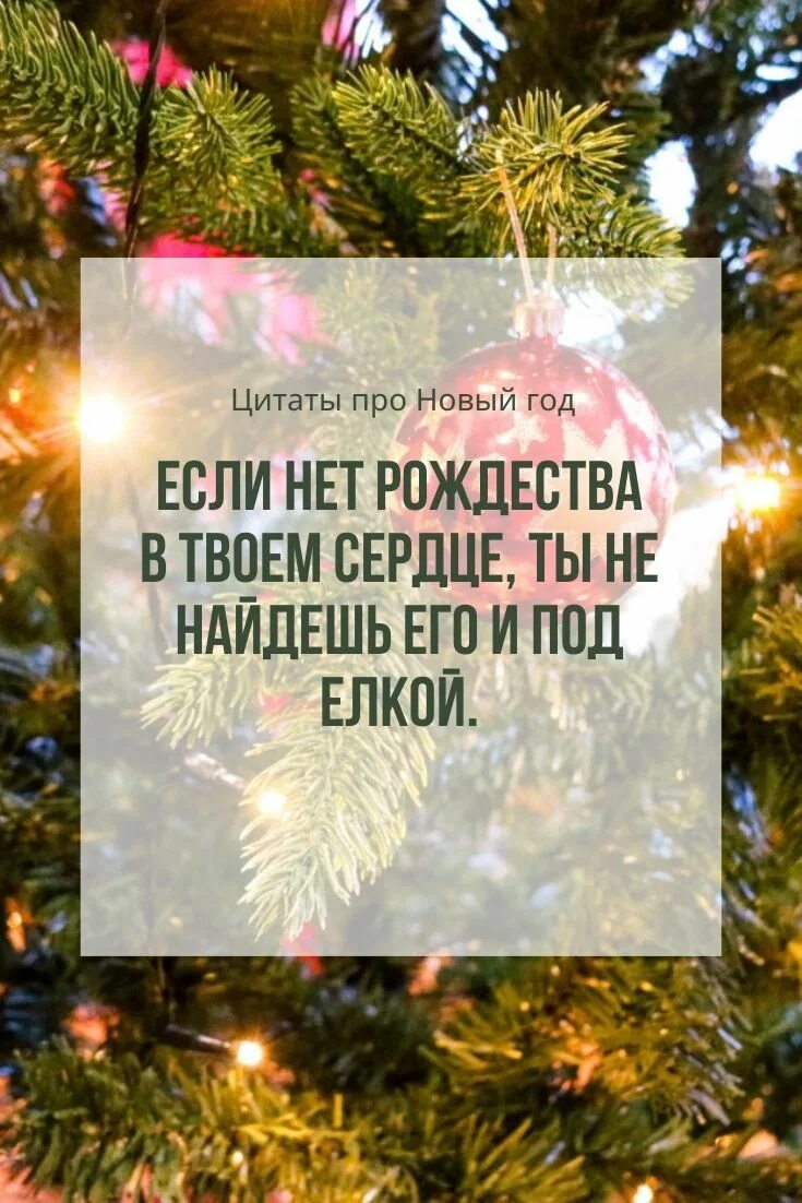 Елка фразы. Цитаты про елку новогоднюю. Елочка цитаты Новогодняя. Афоризмы про елочку. Фразы о елке.