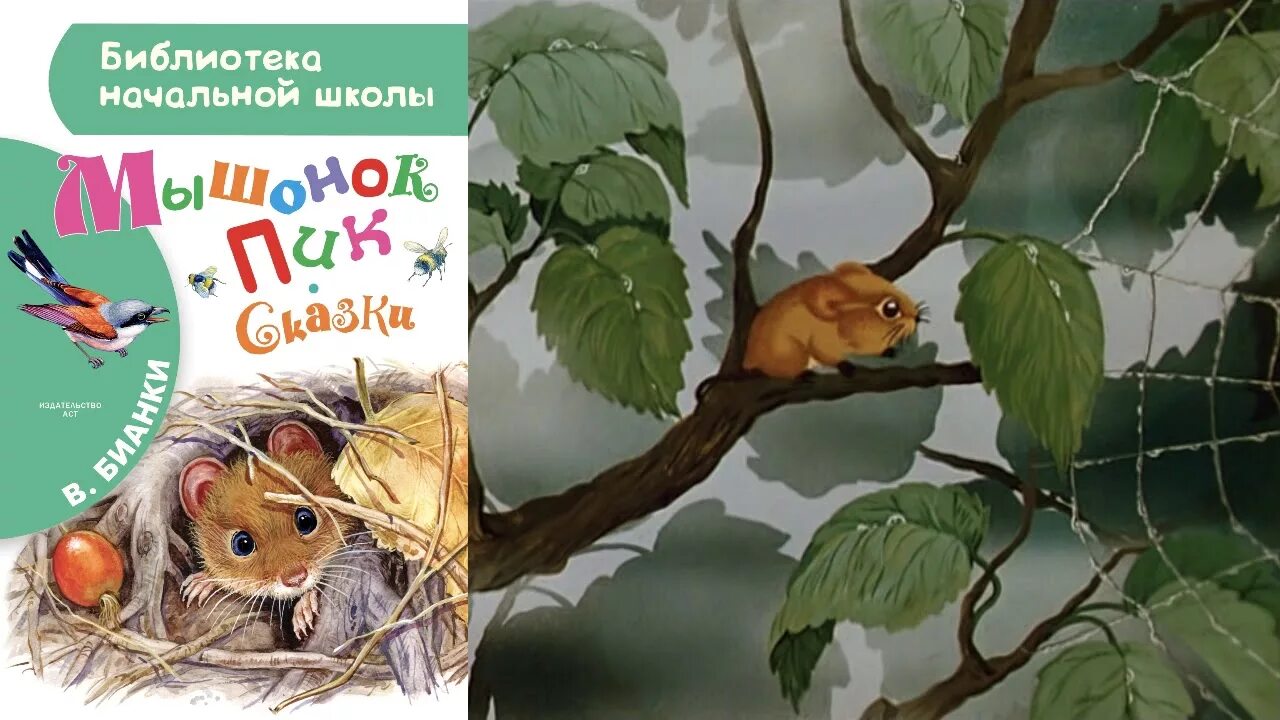 Враги мышонка пика. Мышонок пик 1978. Иллюстрации к сказке мышонок пик Виталия Бианки.