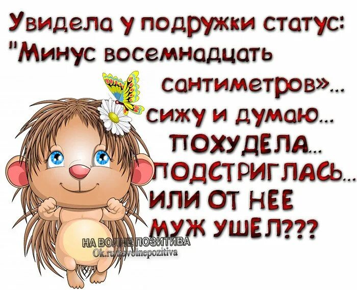 Статусы изображения. Статусы в картинках. смешные статусы в картинках. веселые статусы. статусы юмор.